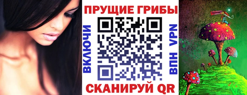 наркотики  Иваново  Галлюциногенные грибы Magic Shrooms 